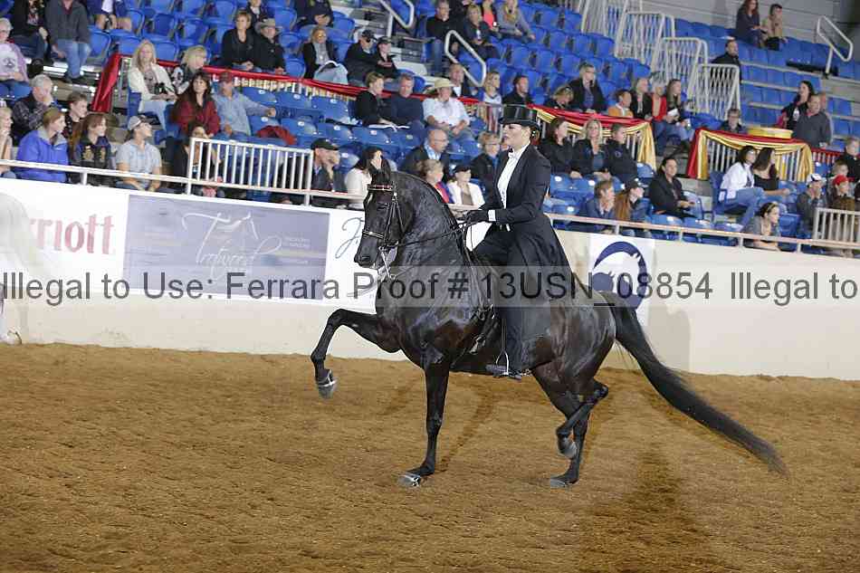 Proof 13usn_08854