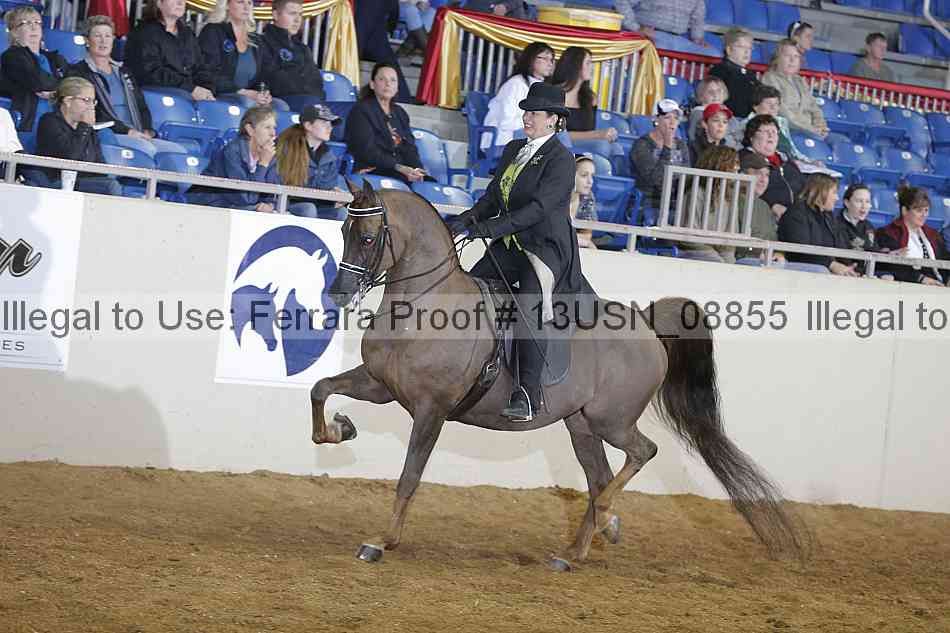 Proof 13usn_08855