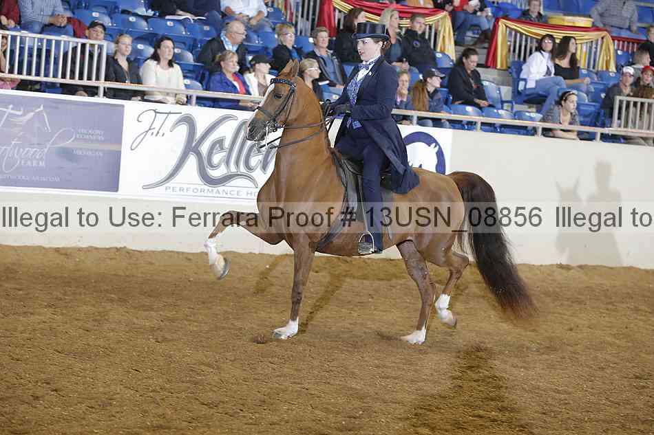 Proof 13usn_08856