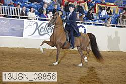 13usn_08856 proof