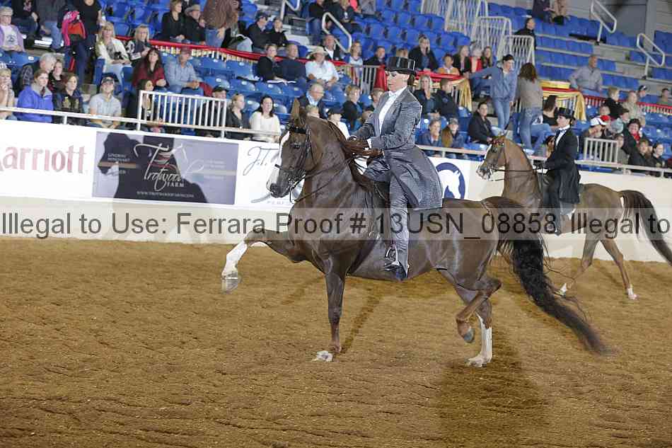 Proof 13usn_08858
