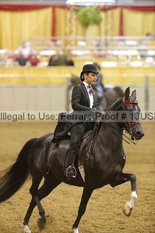 Proof 13usn_08867