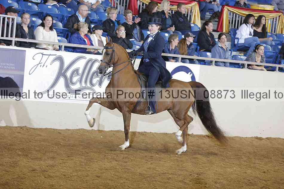 Proof 13usn_08873