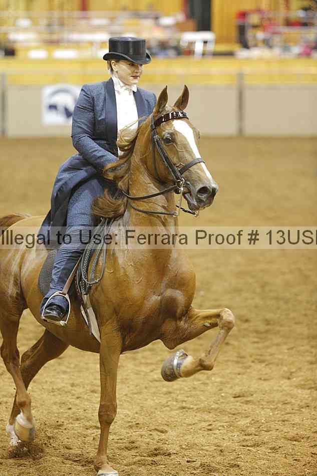Proof 13usn_08876
