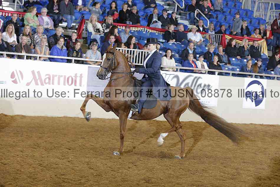 Proof 13usn_08878