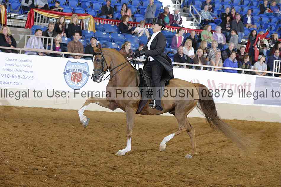 Proof 13usn_08879