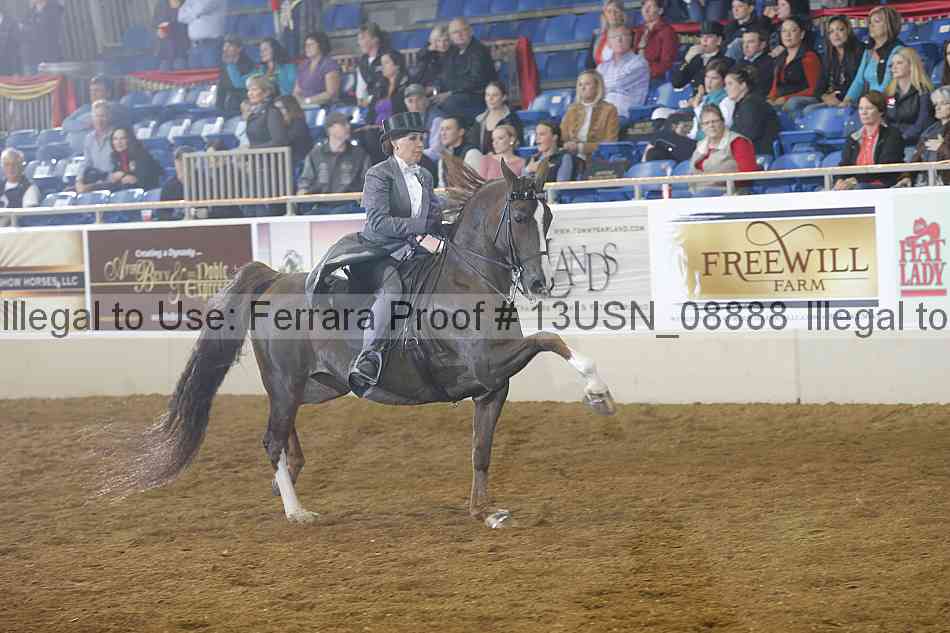 Proof 13usn_08888