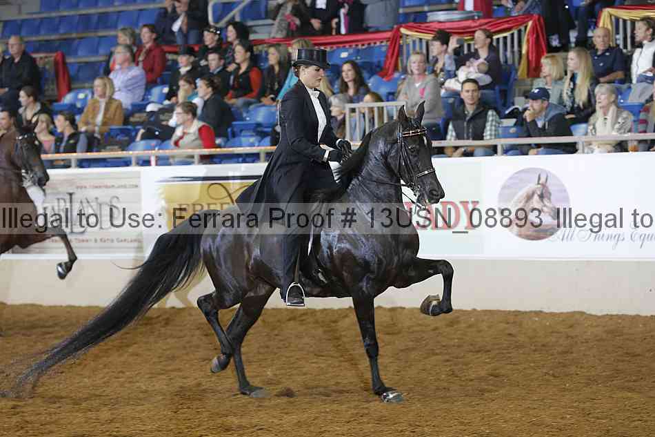 Proof 13usn_08893
