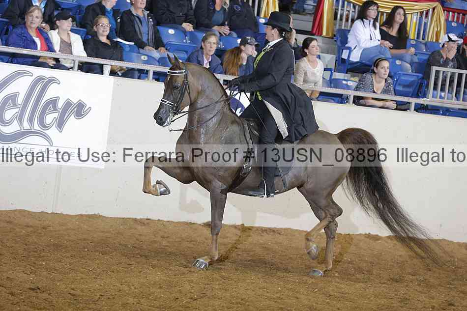Proof 13usn_08896