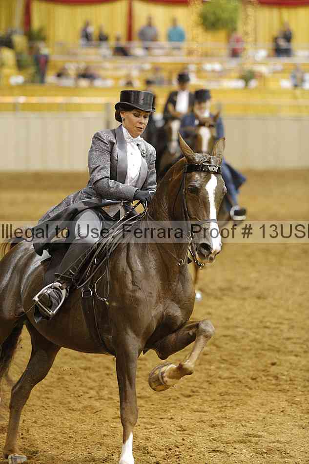 Proof 13usn_08901