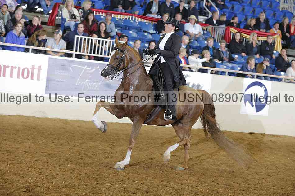 Proof 13usn_08907
