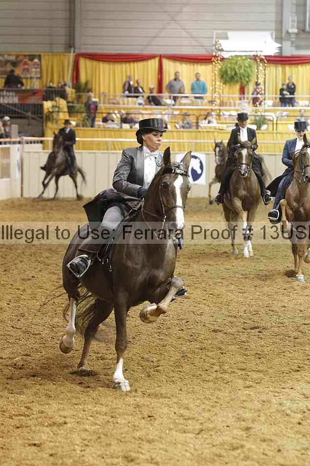 Proof 13usn_08909