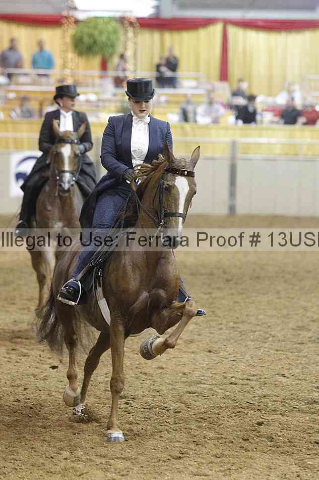 Proof 13usn_08910