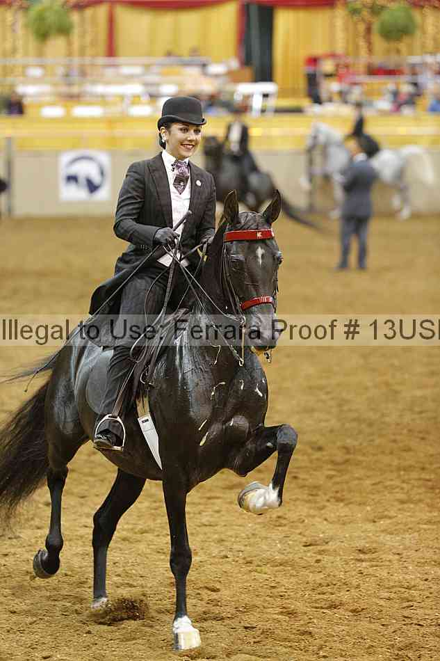 Proof 13usn_08918