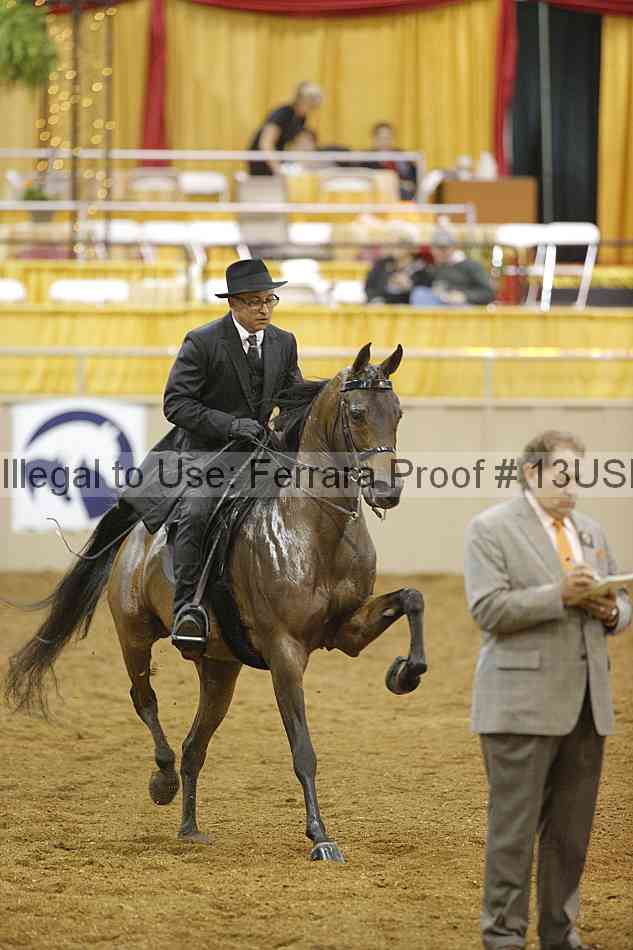 Proof 13usn_08925