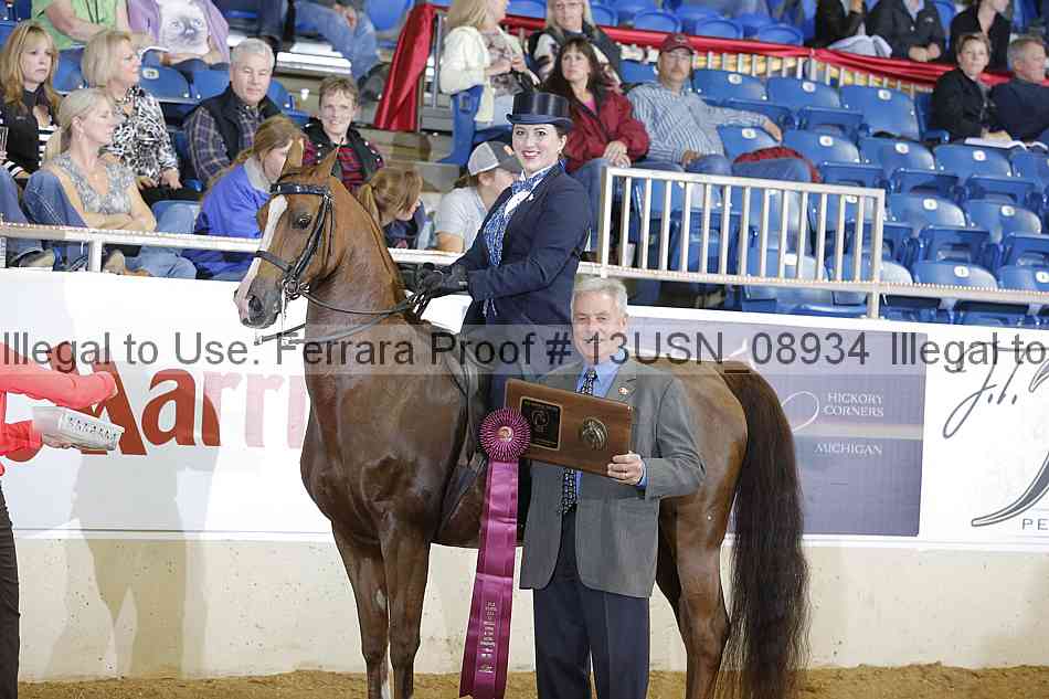 Proof 13usn_08934