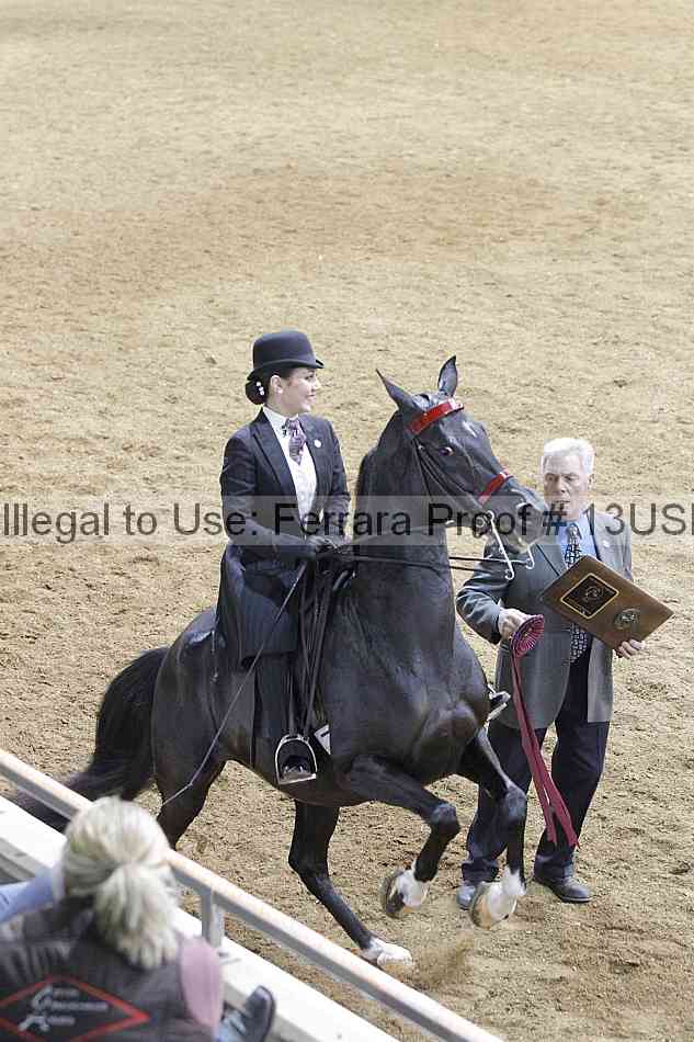 Proof 13usn_08937