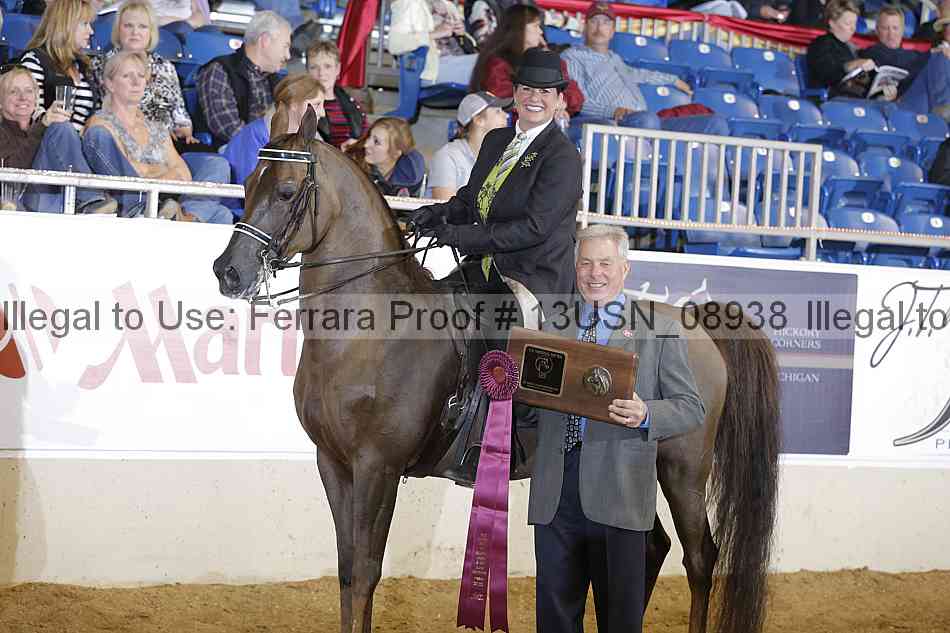 Proof 13usn_08938