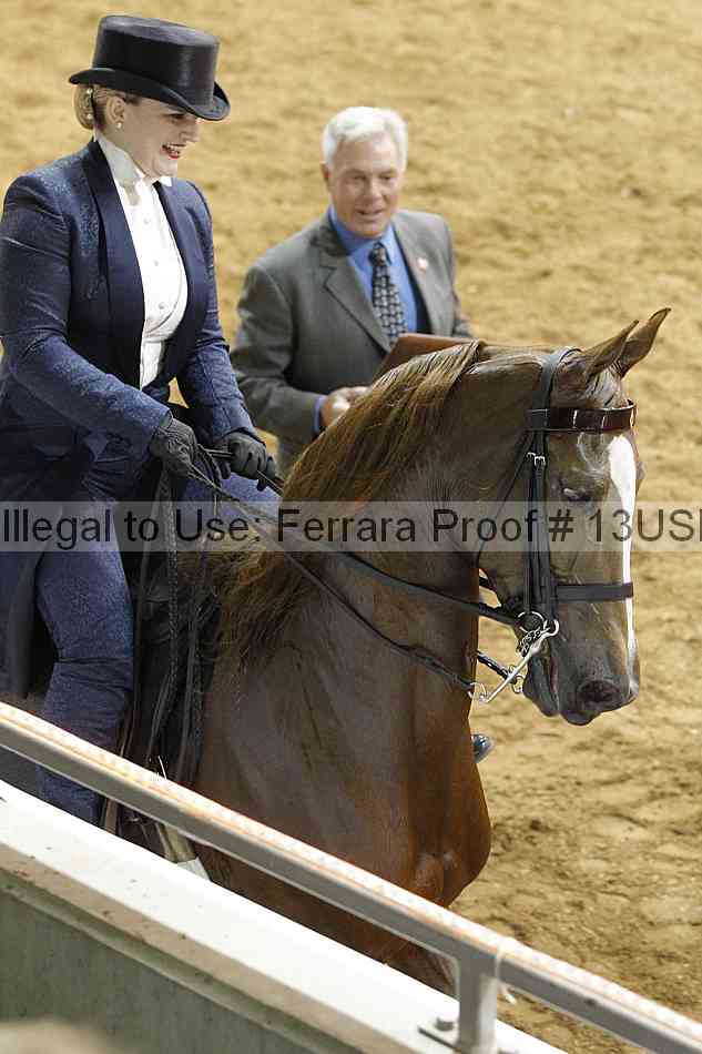 Proof 13usn_08940
