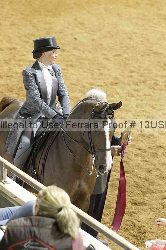 Proof 13usn_08945