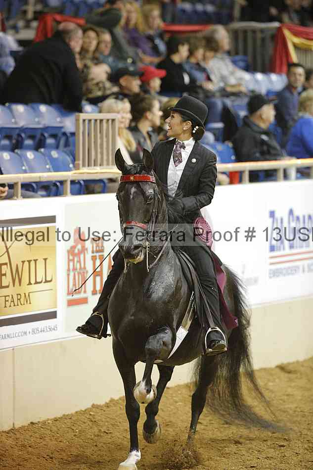 Proof 13usn_09014