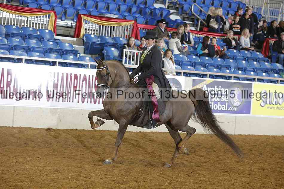 Proof 13usn_09015