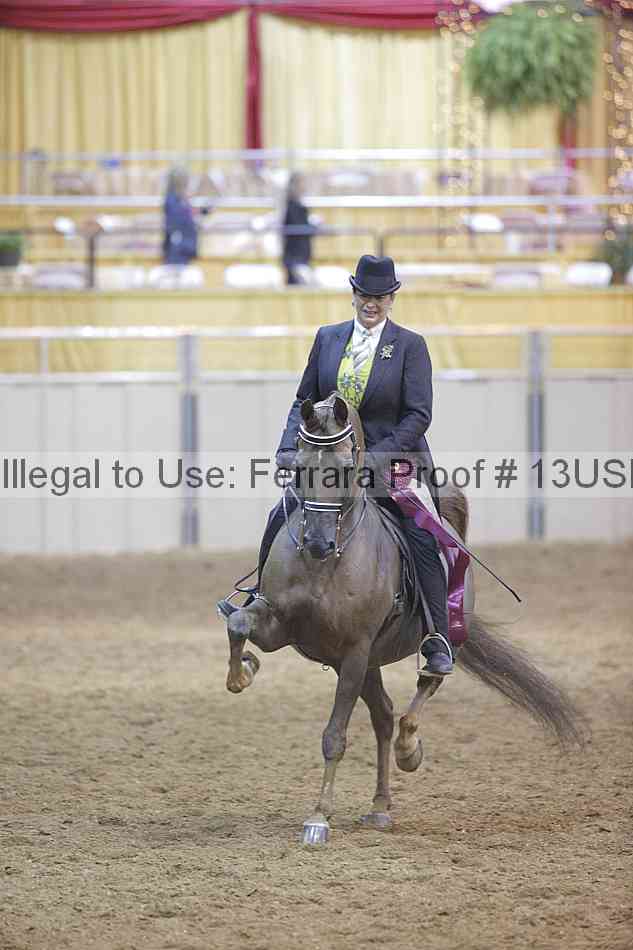 Proof 13usn_09018