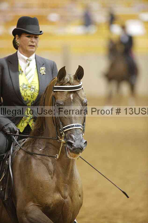 Proof 13usn_09021