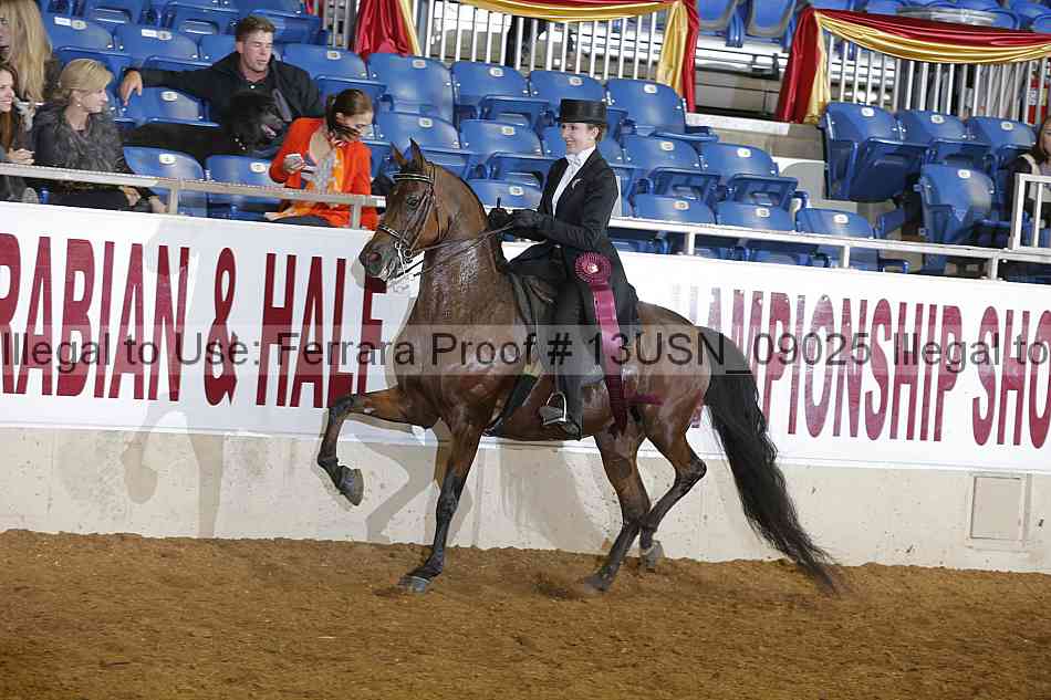 Proof 13usn_09025