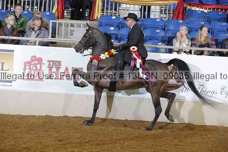 Proof 13usn_09035