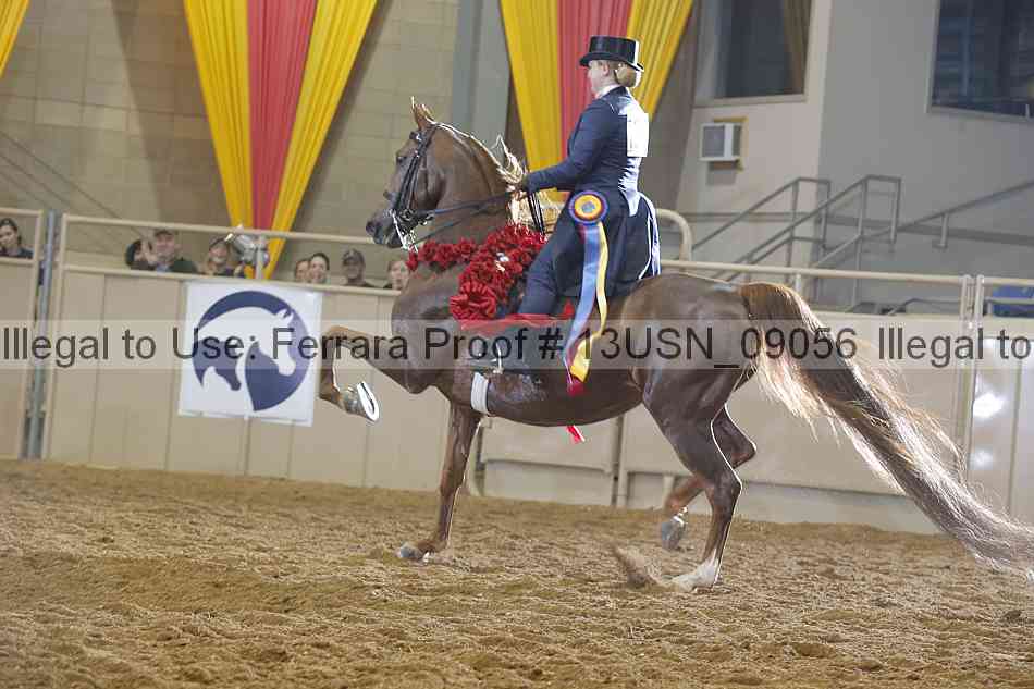 Proof 13usn_09056