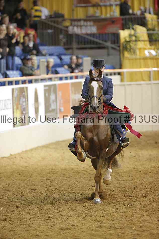 Proof 13usn_09059