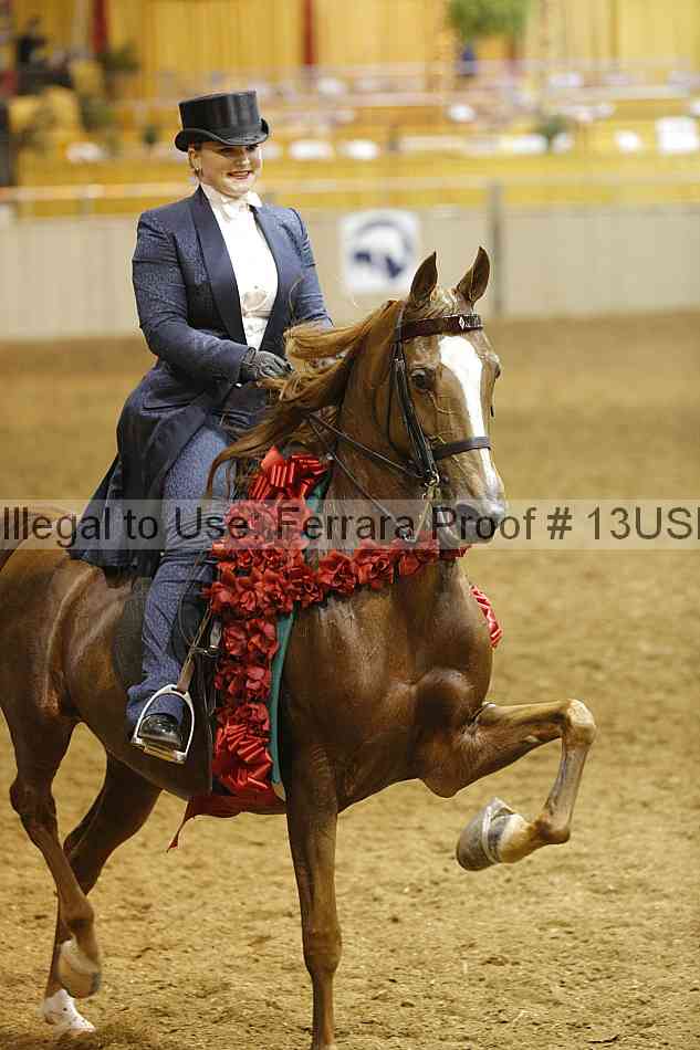 Proof 13usn_09063