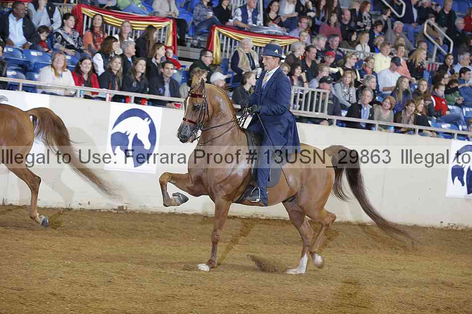 Proof 13usn_29863