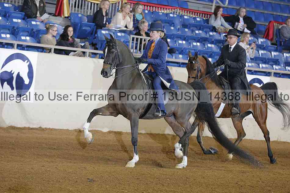 Proof 13usn_14368
