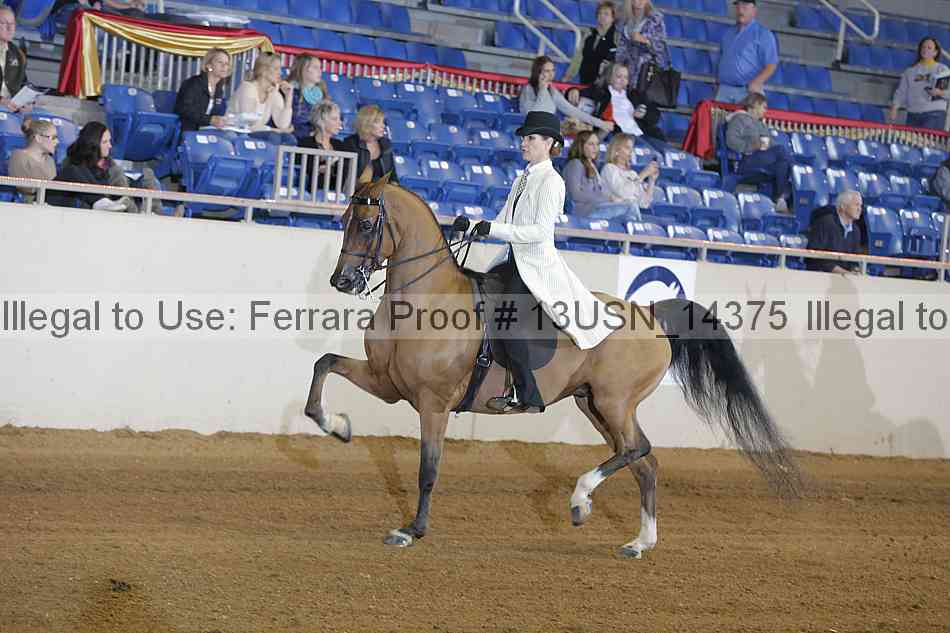 Proof 13usn_14375