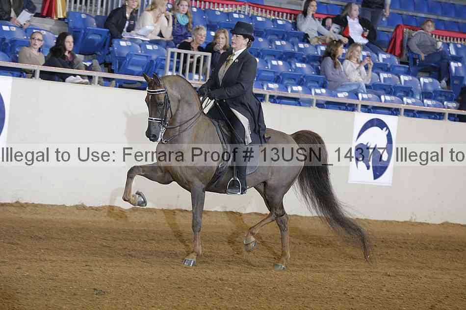 Proof 13usn_14377