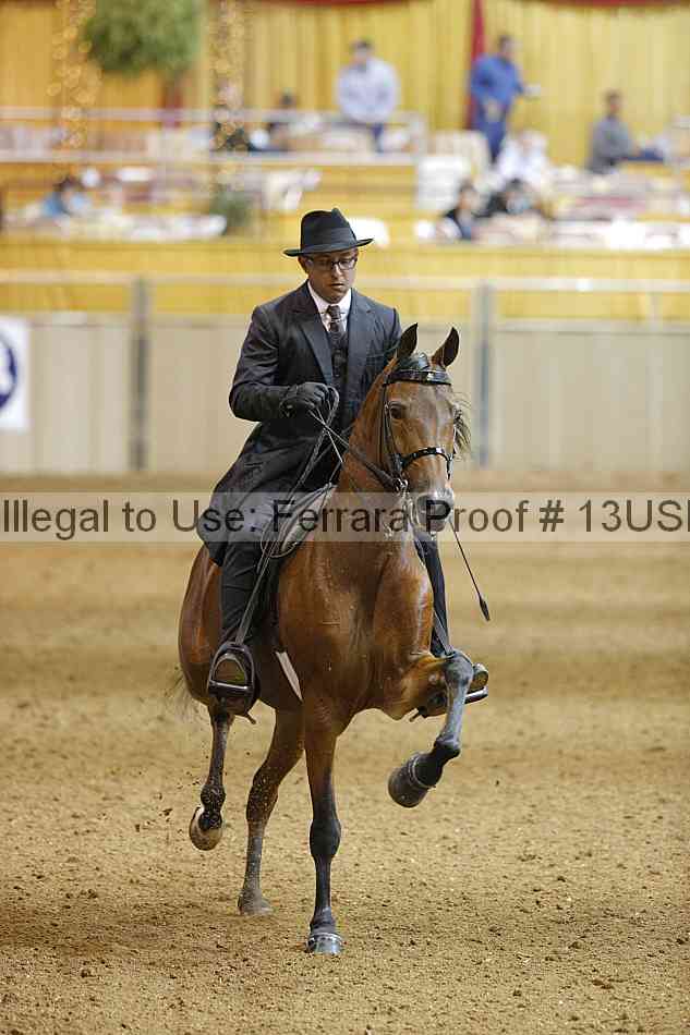 Proof 13usn_14379