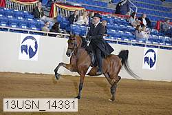 13usn_14381 proof