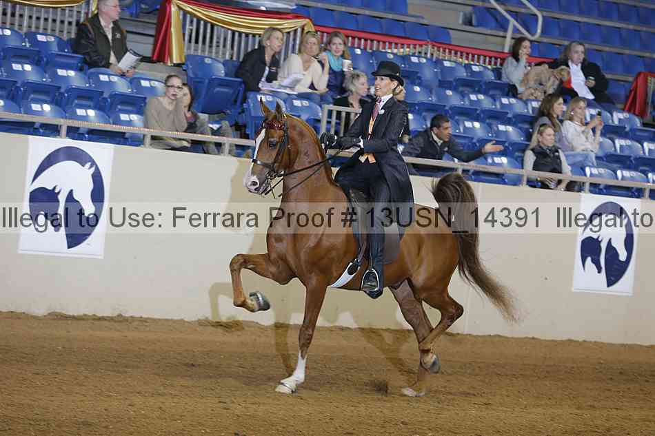 Proof 13usn_14391