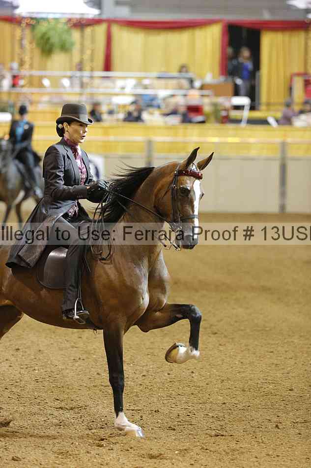 Proof 13usn_14395
