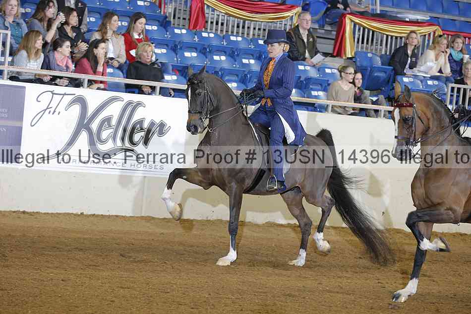 Proof 13usn_14396