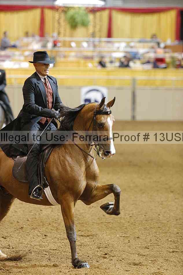 Proof 13usn_14397