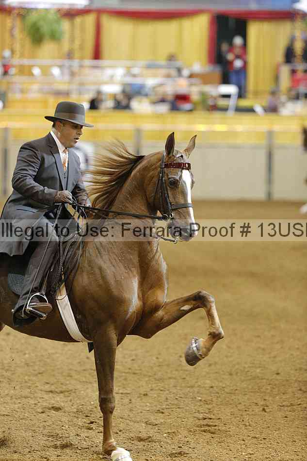 Proof 13usn_14399