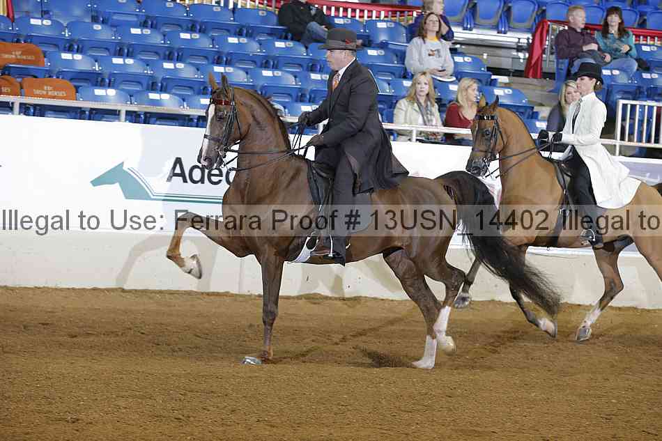 Proof 13usn_14402