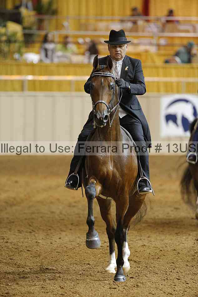 Proof 13usn_14405
