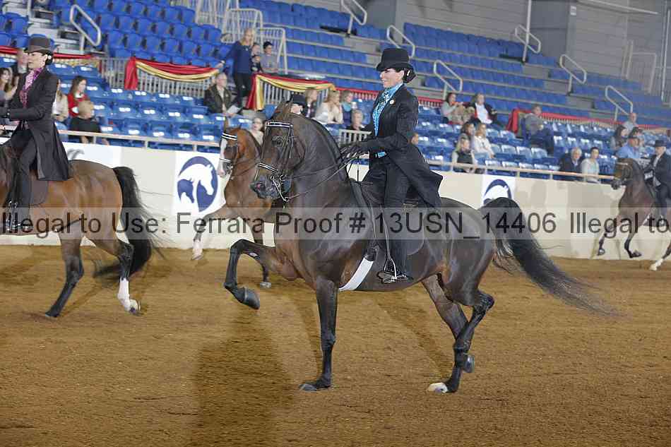 Proof 13usn_14406