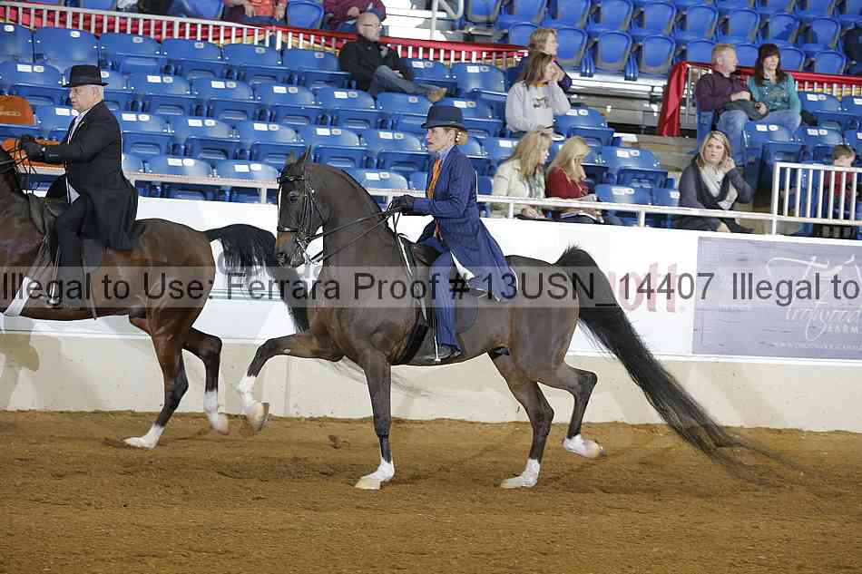 Proof 13usn_14407