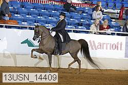 13usn_14409 proof