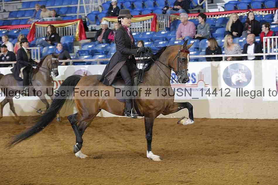 Proof 13usn_14412